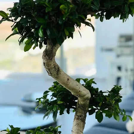 Veiga With Heated Pool