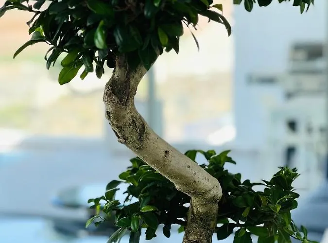 Veiga With Heated Pool